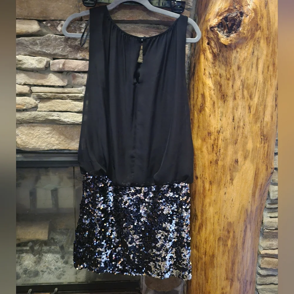 Adrianna Papell blouson chiffon sleeveless top sequin skirt dress Sz 14 Preloved - Picture 1 of 5